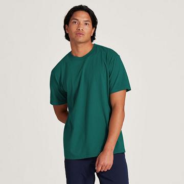 Men's Allbirds Allgood Cotton T Shirts Turquoise | NZ1298MQ