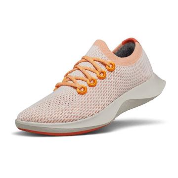 Men's Allbirds Tree Dasher 1 Running Shoes Orange | NZ1159OK