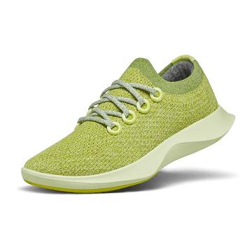 Men's Allbirds Tree Dasher 1 Running Shoes Green | NZ1160IL