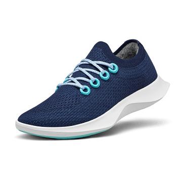 Men's Allbirds Tree Dasher 1 Running Shoes Blue / White | NZ1165EB