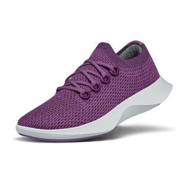 Men's Allbirds Tree Dasher 1 Running Shoes Purple | NZ1172CT