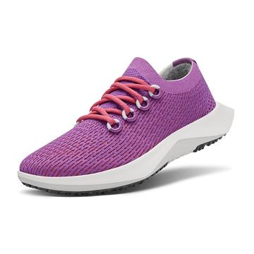 Men's Allbirds Tree Dasher 2 Running Shoes Purple | NZ1189TC