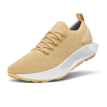 Men's Allbirds Tree Flyers Running Shoes Beige | NZ1181DF