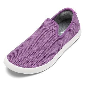 Men's Allbirds Tree Loungers Slip On Shoes Purple / White | NZ1101GS