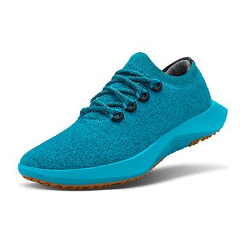 Men's Allbirds Wool Dasher Mizzles Running Shoes Blue | NZ1140WN