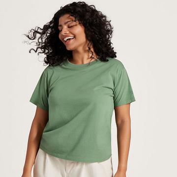 Women's Allbirds Allgood Cotton T Shirts Green | NZ1746ZU