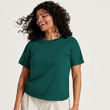 Women's Allbirds Allgood Cotton T Shirts Turquoise | NZ1748KO