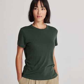 Women's Allbirds Sea T Shirts Green | NZ1738WN