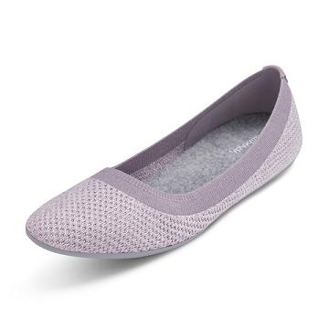 Women's Allbirds Tree Breezers Flat Shoes Purple | NZ1666CT