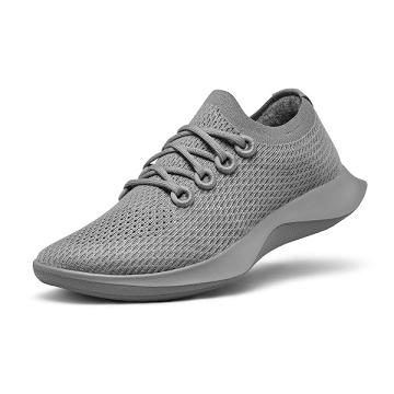 Women's Allbirds Tree Dasher 1 Running Shoes Grey | NZ1589XY