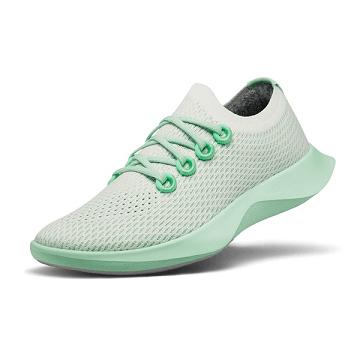 Women's Allbirds Tree Dasher 1 Running Shoes Green / Mint | NZ1592KO