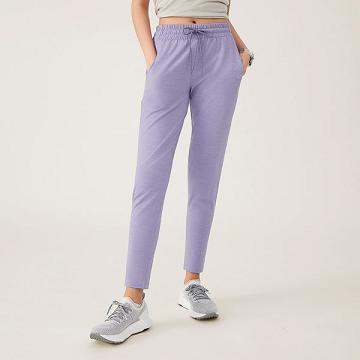 Women's Allbirds Wool Performance Pants Purple | NZ1761TC