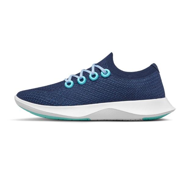 Men's Allbirds Tree Dasher 1 Running Shoes Blue / White | NZ1165EB