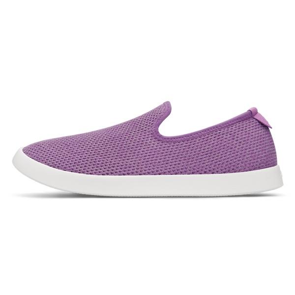 Men's Allbirds Tree Loungers Slip On Shoes Purple / White | NZ1101GS