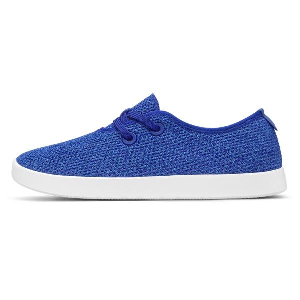 Men's Allbirds Tree Skippers Sneakers Blue | NZ1014BE