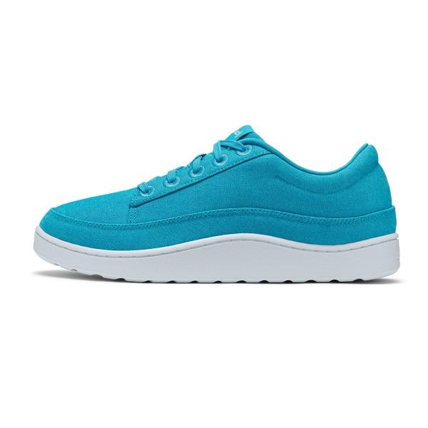 Women's Allbirds Canvas Pacers Sneakers Turquoise | NZ1412HA