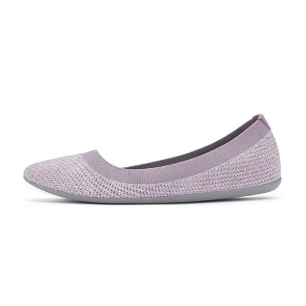 Women's Allbirds Tree Breezers Flat Shoes Purple | NZ1666CT