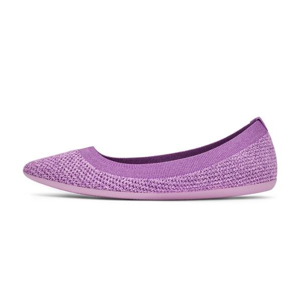 Women's Allbirds Tree Breezers Lux Flat Shoes Purple | NZ1664BE